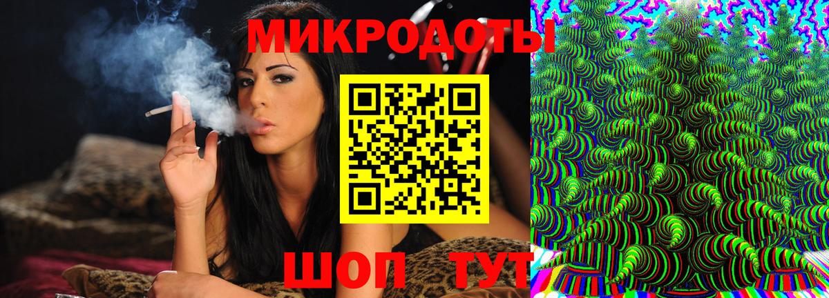 Псилоцибиновые грибы Psilocybine cubensis Дербент