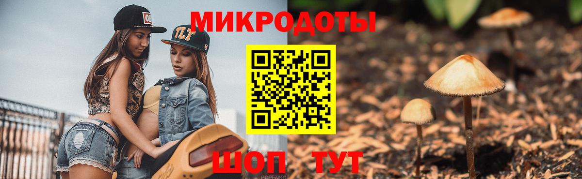 Псилоцибиновые грибы мухоморы  Галлюциногенные грибы Psilocybe  Дербент  Вход с VPN 